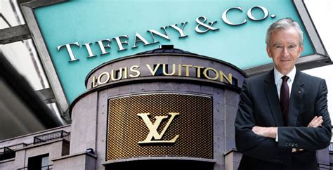 louis vuitton owner company.